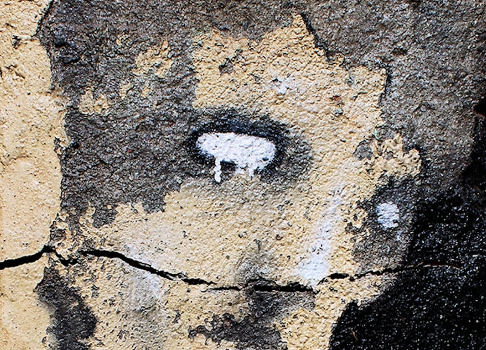 Hidden Images